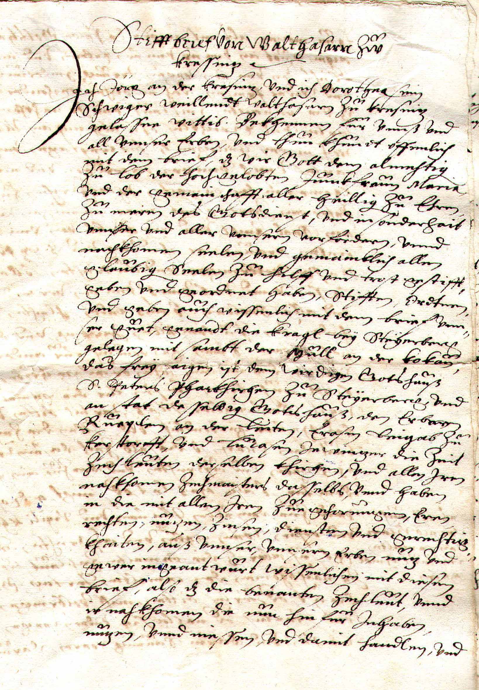 Steuerberg 7A_C11.jpg